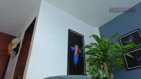 Snapshot of silvabranko chatting on 12/18/25, 12:17 silvabranko online show from 12/18/25, 12:17