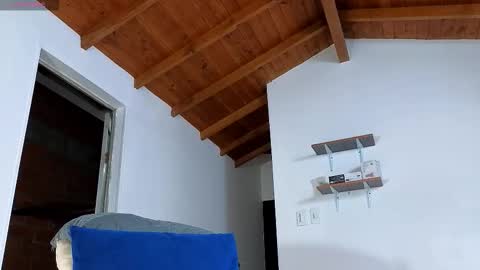 Snapshot of silvabranko chatting on 01/12/26, 01:11 silvabranko online show from 01/12/26, 01:11