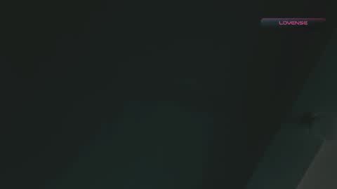 Snapshot of silvabranko chatting on 02/17/26, 03:08 silvabranko online show from 02/17/26, 03:08