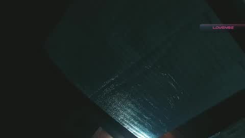 silvabranko online show from 04/27/26, 02:09
