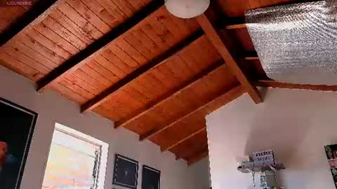 silvabranko online show from 06/22/26, 03:09
