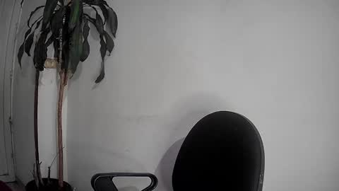 Snapshot of silviecollins chatting on 12/02/24, 12:52 Silvie online show from 12/02/24, 12:52