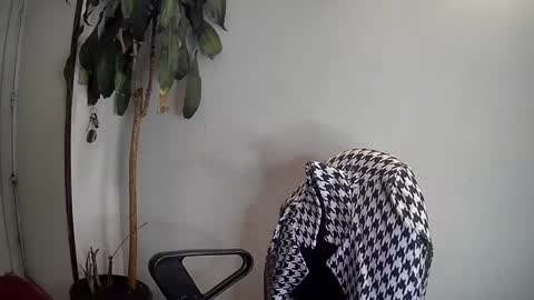 Snapshot of silviecollins chatting on 01/07/25, 03:46 Silvie online show from 01/07/25, 03:46
