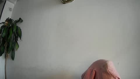 Snapshot of silviecollins chatting on 02/15/25, 07:50 Silvie online show from 02/15/25, 07:50