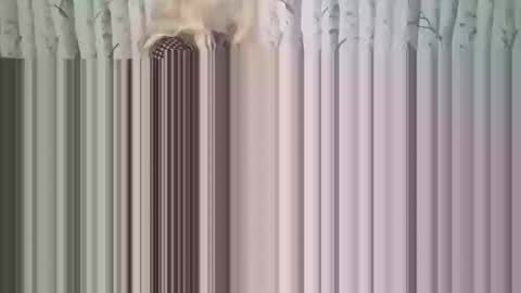 Snapshot of simontupin1973 chatting on 12/17/25, 01:33 simontupin1973 online show from 12/17/25, 01:33