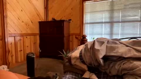 Snapshot of sinfull2022 chatting on 02/01/26, 04:38 sinfull2022 online show from 02/01/26, 04:38