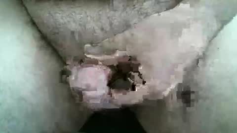 Snapshot of singlestr8man chatting on 03/09/26, 12:09 HardNSouthern online show from 03/09/26, 12:09