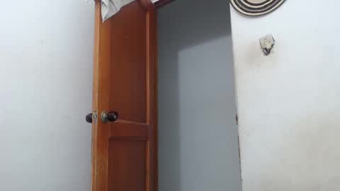 Snapshot of sirajones chatting on 03/02/25, 02:30 sirajones online show from 03/02/25, 02:30