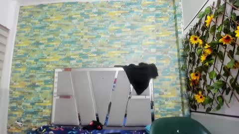 Snapshot of sirryant chatting on 02/02/25, 01:45 SIR RYANT online show from 02/02/25, 01:45