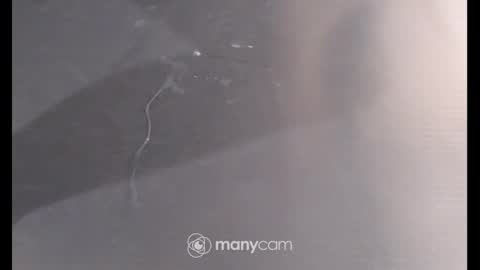 Snapshot of sissyslut6111 chatting on 12/26/24, 06:54 Sissyslut6111 online show from 12/26/24, 06:54