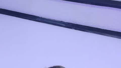 skinny_hottie18 online show from 06/27/26, 11:48