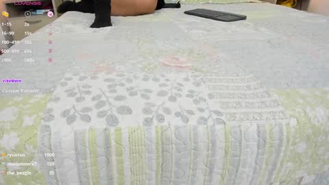 Snapshot of skinny_isabela chatting on 01/31/25, 02:28 Isabela online show from 01/31/25, 02:28