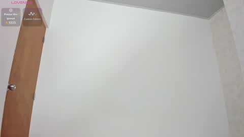 Snapshot of skinny_isabela chatting on 03/03/25, 11:33 Isabela online show from 03/03/25, 11:33