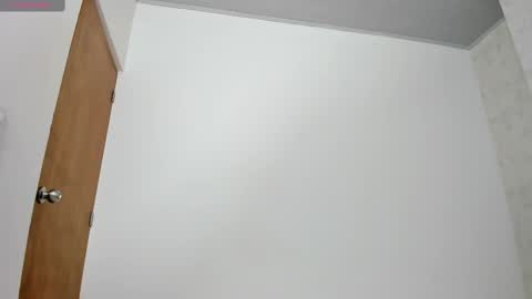 Snapshot of skinny_isabela chatting on 03/07/25, 11:29 Isabela online show from 03/07/25, 11:29