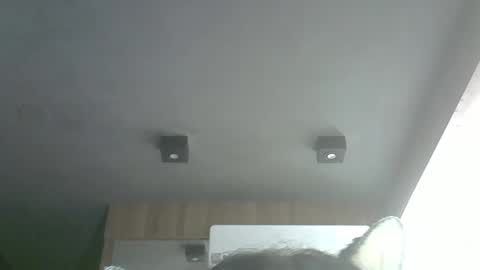 skinnykittencam online show from 03/29/26, 04:34