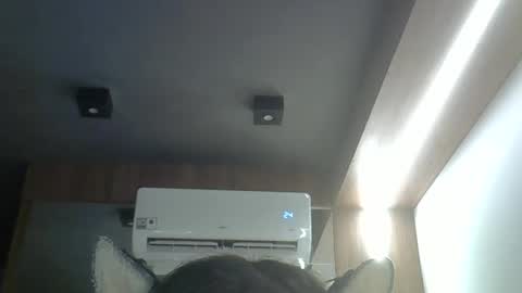 skinnykittencam online show from 04/08/26, 12:38