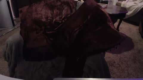 SKYLE   online show from 09/24/25, 07:01