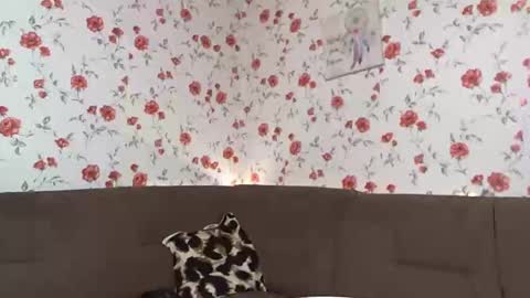 Sky online show from 12/10/24, 01:00