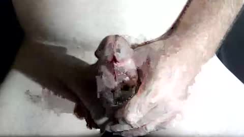 Snapshot of slash1710 chatting on 02/04/26, 08:47 Z online show from 02/04/26, 08:47