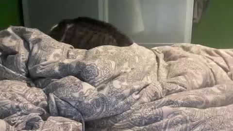 Snapshot of slice5 chatting on 12/21/25, 09:49 slice5 online show from 12/21/25, 09:49