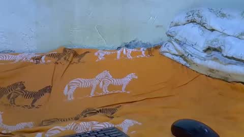 slim_girl3 online show from 11/18/25, 02:21