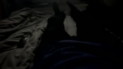 slimboy6900 online show from 02/23/26, 01:36