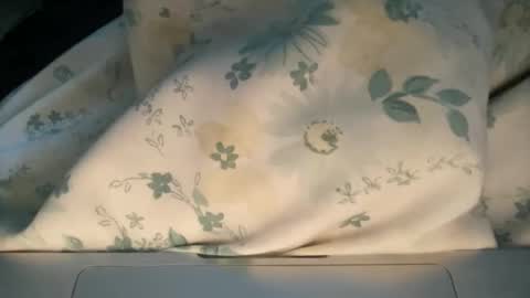 Snapshot of slimeasaurus chatting on 03/01/26, 11:23 Daddy online show from 03/01/26, 11:23