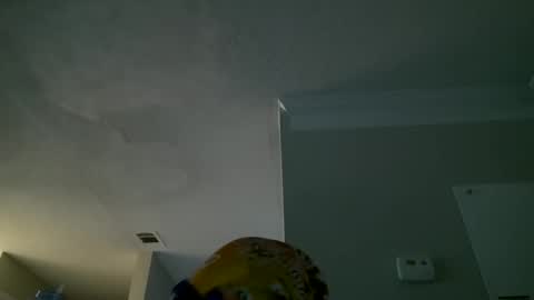 Snapshot of slimmmgooodiexoxo chatting on 09/26/25, 11:14 slimmmgooodiexoxo online show from 09/26/25, 11:14