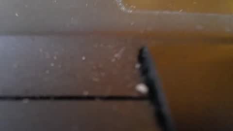 Snapshot of slimy_cunt chatting on 01/29/25, 01:27 Jemila online show from 01/29/25, 01:27