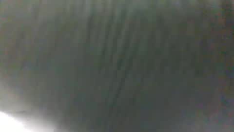Snapshot of slothslav chatting on 01/31/25, 10:10 slothslav online show from 01/31/25, 10:10