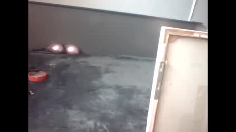 Snapshot of slutviki chatting on 02/15/26, 10:14 slutviki online show from 02/15/26, 10:14