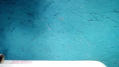 jess online show from 01/05/25, 05:09