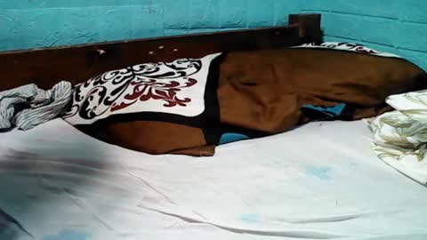 jess online show from 02/07/25, 04:37