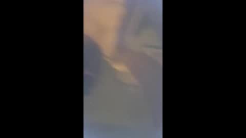 smcock68 online show from 03/03/26, 11:21