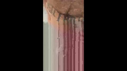 smyklops online show from 01/08/26, 09:39