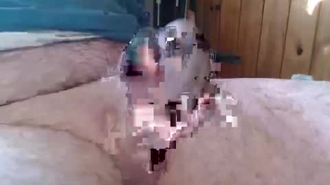 Snapshot of sn0man69 chatting on 01/06/25, 02:47 sn0man69 online show from 01/06/25, 02:47