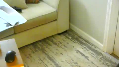 Snapshot of snizniz chatting on 01/21/25, 06:23 snizniz online show from 01/21/25, 06:23