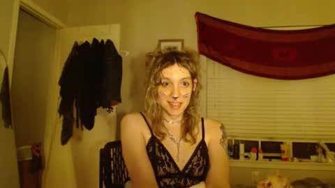 Snapshot of soffpurr chatting on 11/01/25, 08:38 Lilytea online show from 11/01/25, 08:38