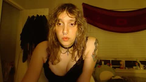 Snapshot of soffpurr chatting on 11/02/25, 06:49 Lilytea online show from 11/02/25, 06:49
