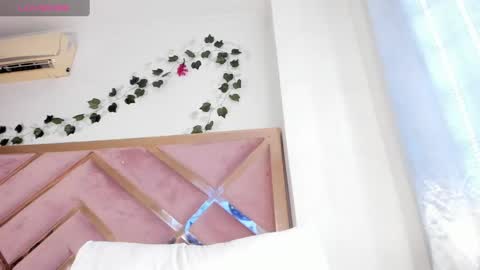   online show from 01/30/25, 09:04