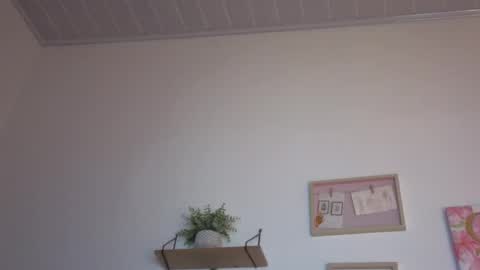     online show from 11/15/25, 03:48