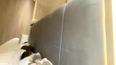 Snapshot of sofiaalvarezx chatting on 07/11/26, 05:04 sofiaalvarezx online show from 07/11/26, 05:04