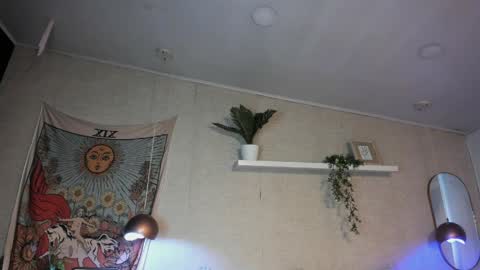 Snapshot of sofii_wild chatting on 05/30/26, 12:13 sofii_wild online show from 05/30/26, 12:13