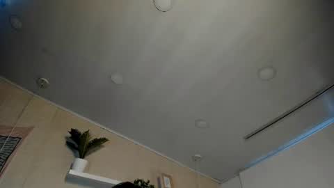 Snapshot of sofii_wild chatting on 07/11/26, 12:19 sofii_wild online show from 07/11/26, 12:19