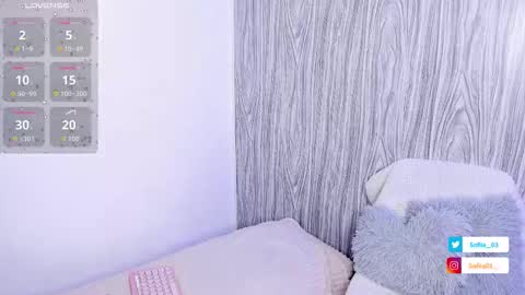 Snapshot of sofiii_03 chatting on 11/13/25, 11:47 SOFIA online show from 11/13/25, 11:47