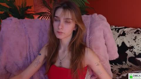 Snapshot of soft_animal chatting on 11/09/25, 08:45 E online show from 11/09/25, 08:45