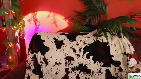 Snapshot of soft_animal chatting on 11/18/25, 09:14 E online show from 11/18/25, 09:14