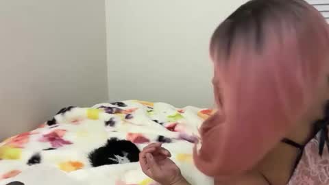 Snapshot of softandcreamyass chatting on 03/14/26, 04:29 softandcreamyass online show from 03/14/26, 04:29