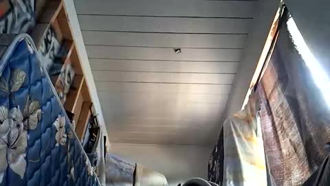 Snapshot of sohan730903 chatting on 10/01/25, 07:20 sohan730903 online show from 10/01/25, 07:20