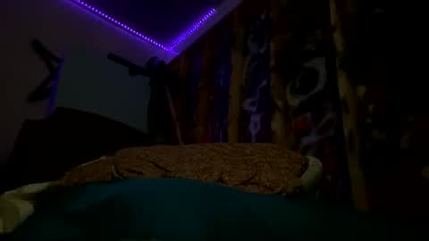 Snapshot of sohan730903 chatting on 02/15/26, 07:51 sohan730903 online show from 02/15/26, 07:51